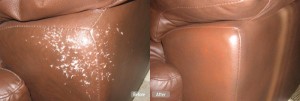 Pet Damage Repair on Leather Couch 